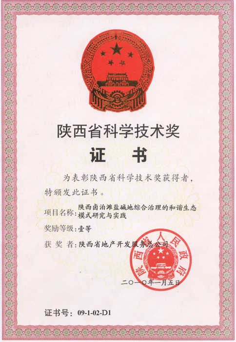 1. 2010年卤泊滩陕西省科学手艺一等奖证书.jpg