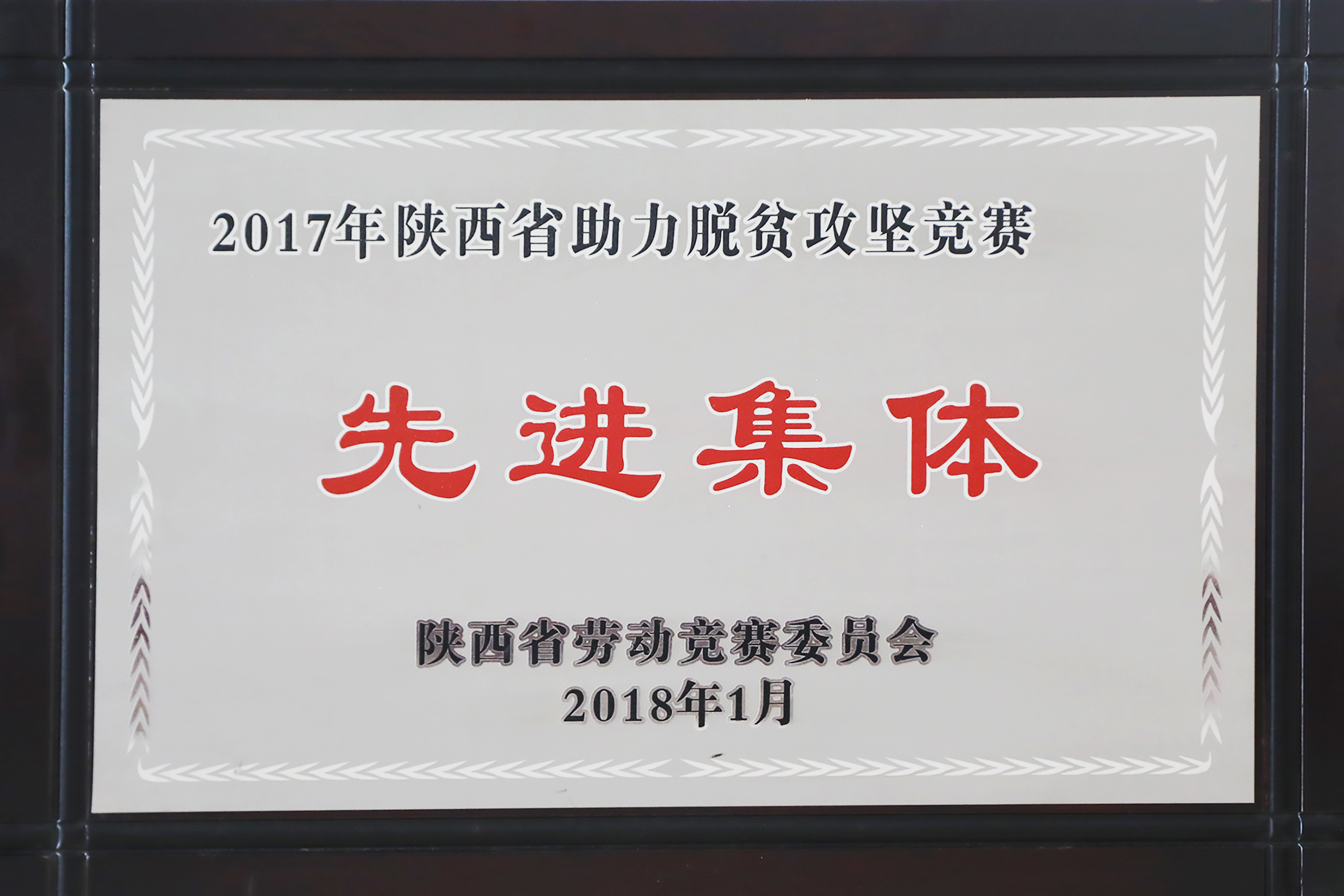 2018.1-2017年陕西省助力脱贫攻坚竞赛先进整体.JPG